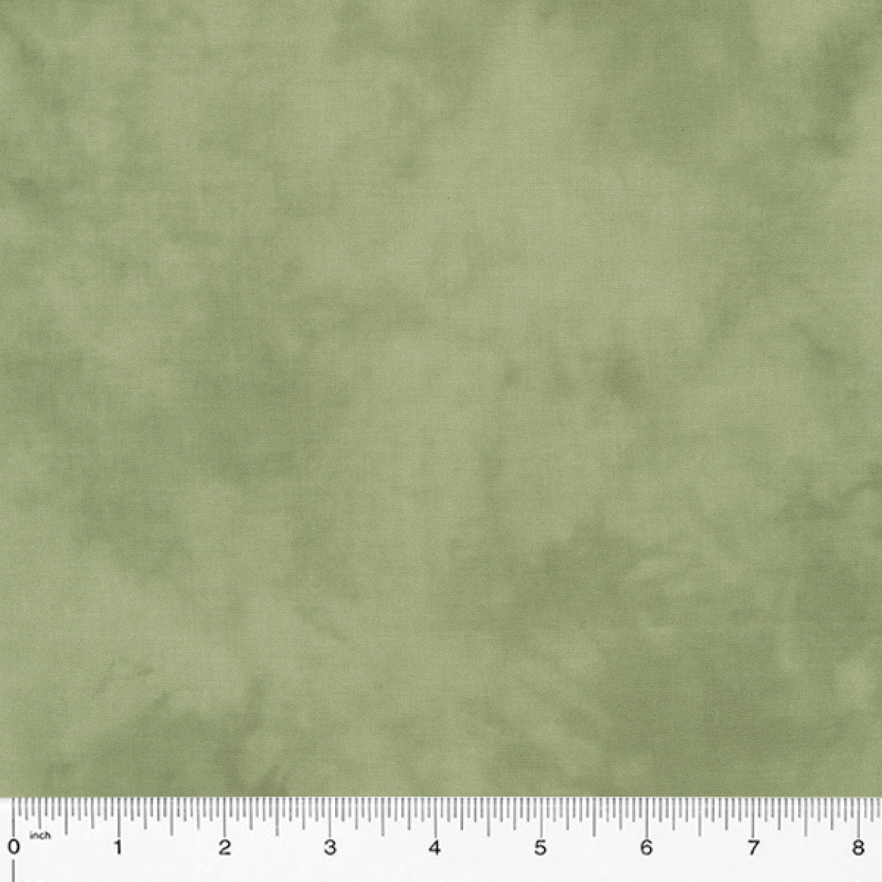 Lambs Ear 37098-89