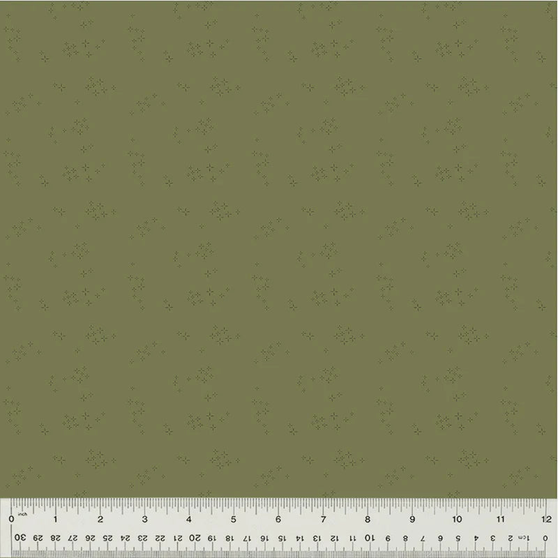 Chlorophyll 54686-11