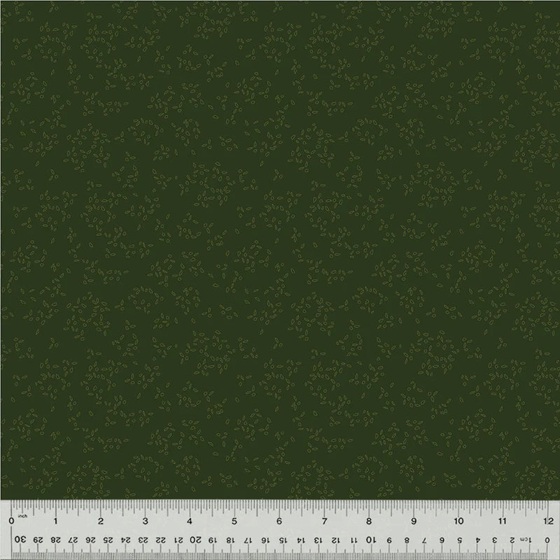 Spirulina 54687-13