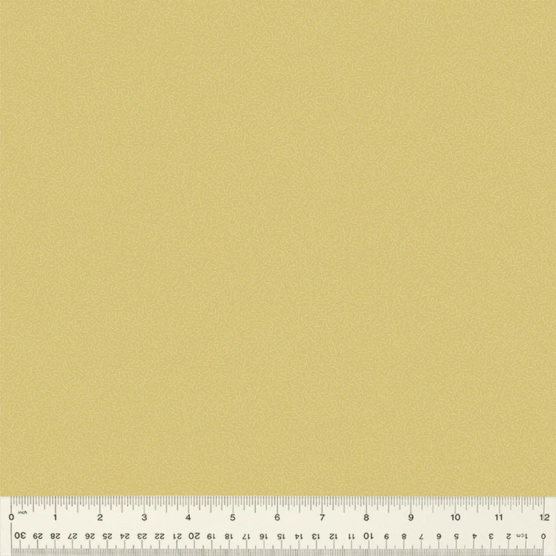 Chamomile 54688-24