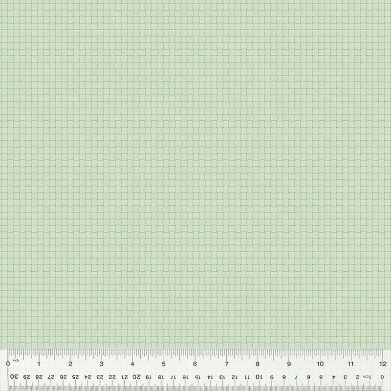 Eucalyptus 54689-38