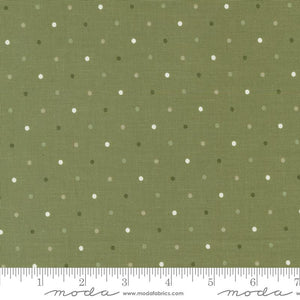 Magic Dot Fern 5230 19