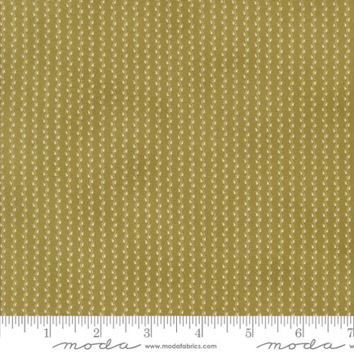 Pumpkin Spice Gath Basil 49299 22