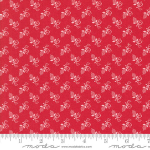 Buon Natale Pomegranate 35404 14