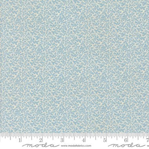Sallys Stitches Blue Sky 31720 18