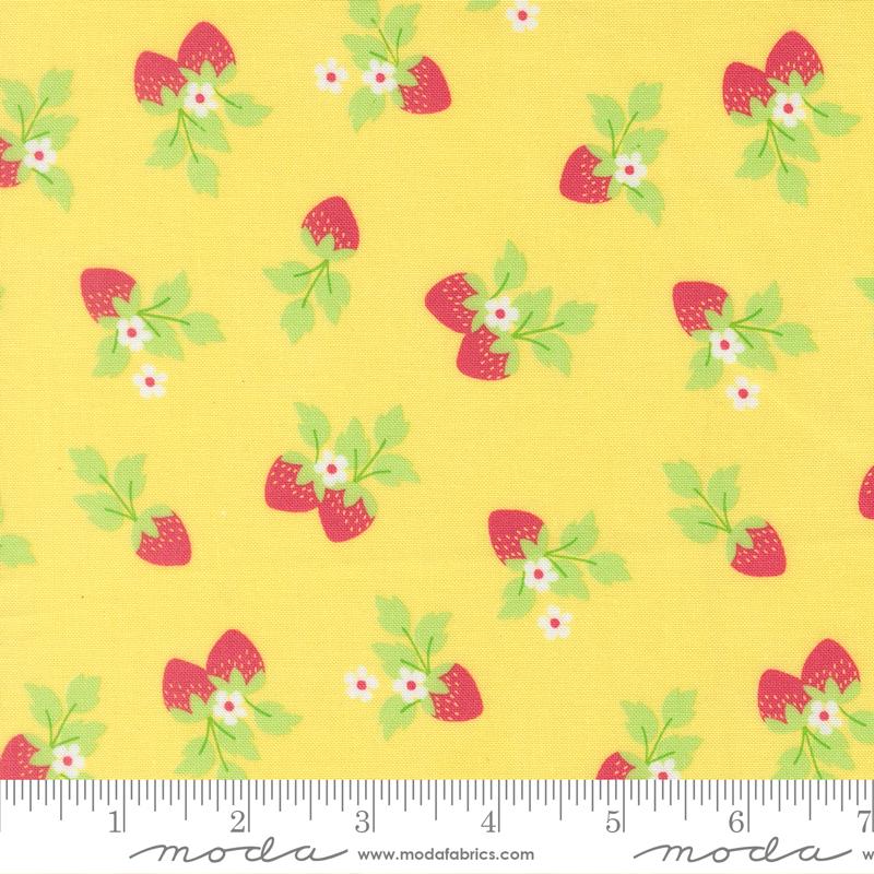 Fruit Salad Sunshine 29243 17