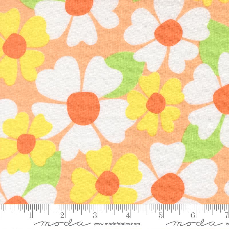 Joysome Cantaloupe 29258 15