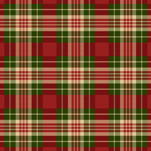 Multi Plaid # R111336D-MULTI