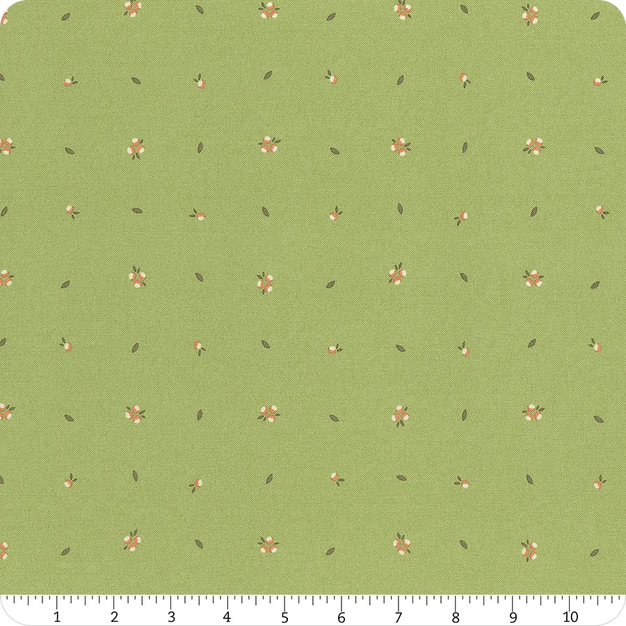 Abloom Cucumber Little Sprout 29216-17