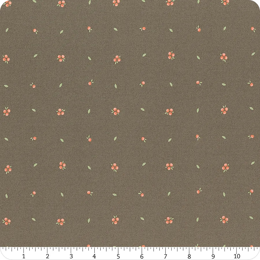 Abloom Slate Little Sprout 29216-19