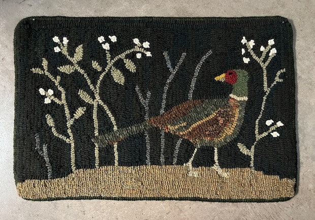Pheasant in the Woods